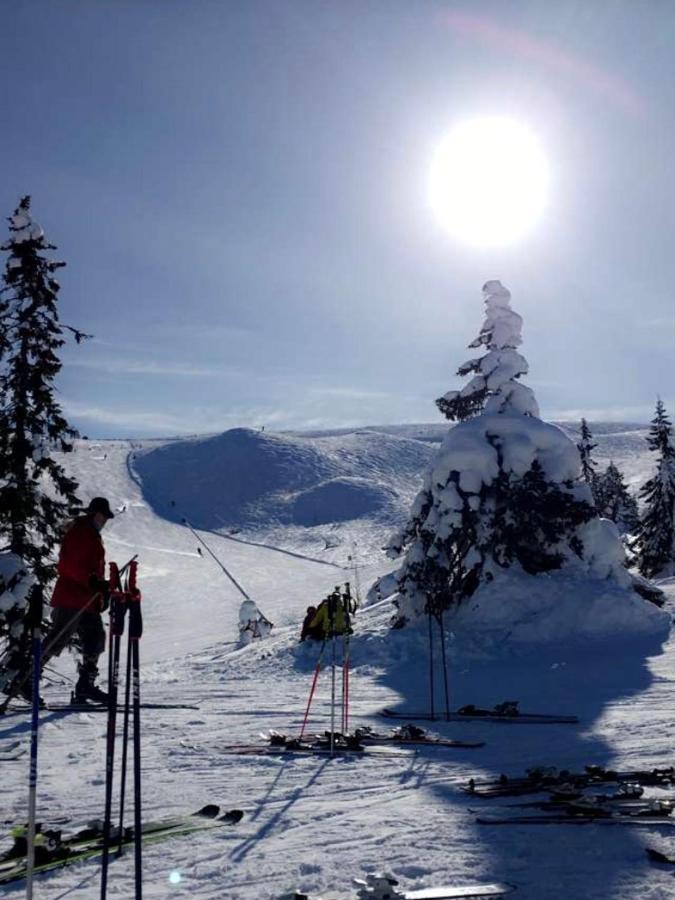 Апартаменты In The Middle Of Trysilfjellet - Welcome Center - With 3 Bedrooms - By Bike Arena And Lift *