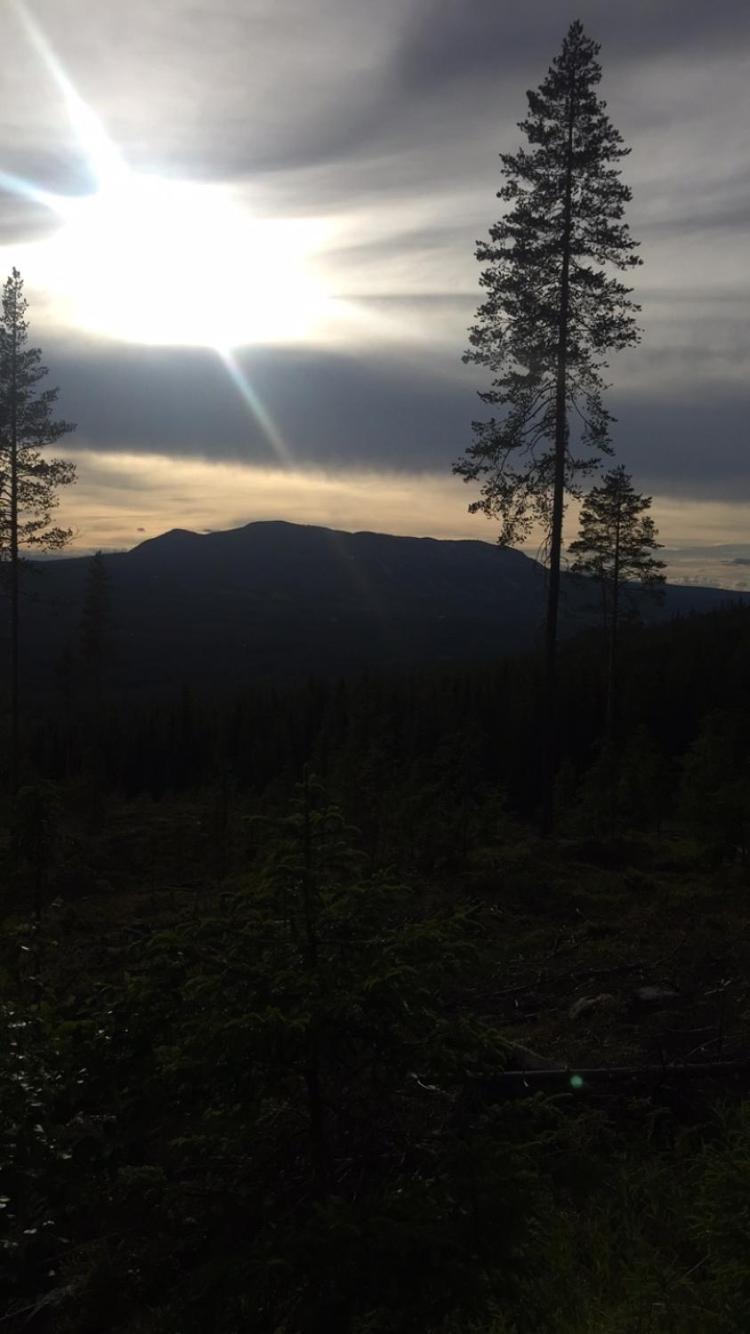 In The Middle Of Trysilfjellet - Welcome Center - With 3 Bedrooms - By Bike Arena And Lift