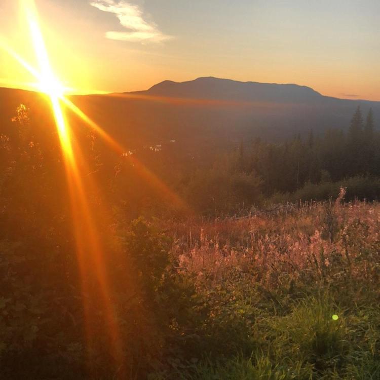 In The Middle Of Trysilfjellet - Welcome Center - With 3 Bedrooms - By Bike Arena And Lift * Trysil